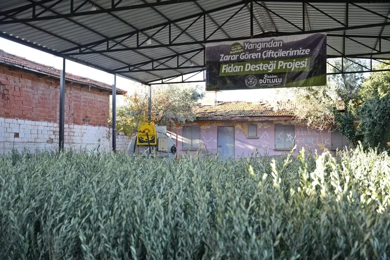 Manisa Büyükşehir, Akhisar