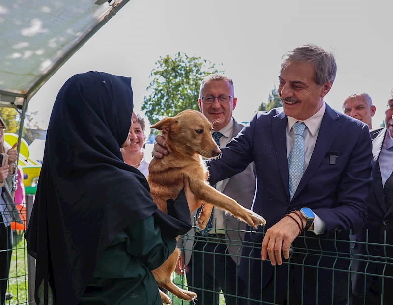 Sokak Hayvanları Doğal Yaşam Kampüsü için ihaleye çıkılıyor