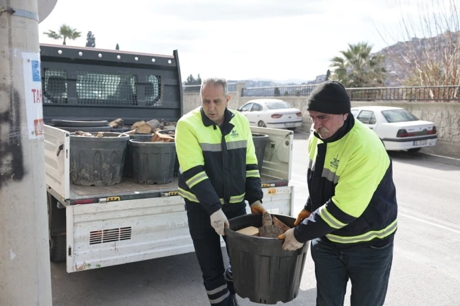 Konak’ta Budanan Ağaçlar Yürekleri Isıtıyor