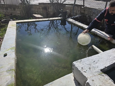 PAMUKKALE BELEDİYESİ’NDEN SİVRİSİNEKLE MÜCADELEDE BALIKLI YÖNTEM