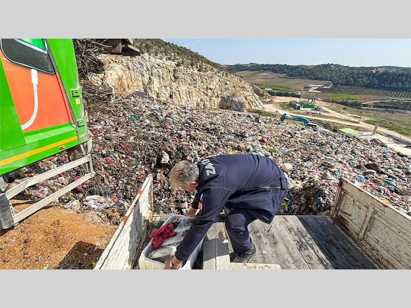 TARSUS ZABITASININ DİKKATİNDEN KAÇMADI: SAĞLIĞI TEHDİT EDEN 750 KİLOGRAM BALIK ELE GEÇİRİLDİ