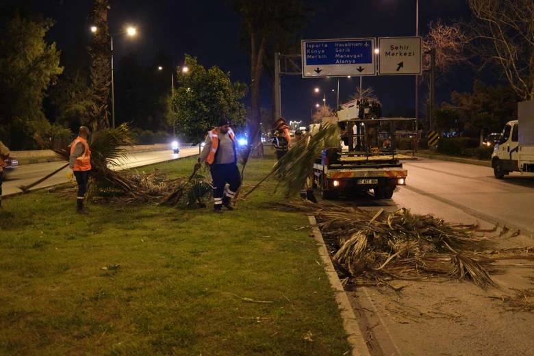 Büyükşehir’den gece budama çalışması