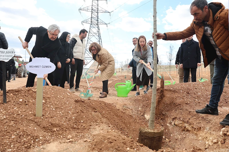 GAZİANTEP BÜYÜKŞEHİR, 330 BİN METREKARE ALANI AĞAÇLANDIRDI