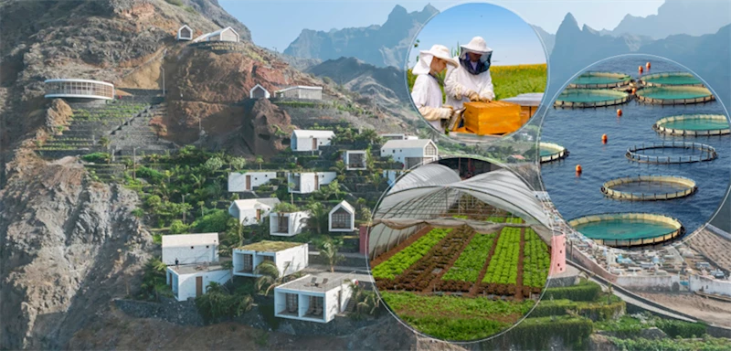 IPARD III KAPSAMINDA 687 PROJEYE 3,7 MİLYAR TL HİBE DESTEĞİ ÖDENECEK