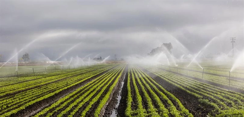 DSİ’DEN YAPAY ZEKA DESTEKLİ SULAMA OTOMASYONU HAMLESİ