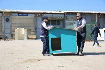 CAN DOSTLAR İÇİN KULÜBE VE MAMAMATİKLER DE HAZIR