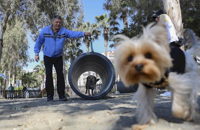 Büyükşehir’den Patili Dostlar İçin Örnek Proje