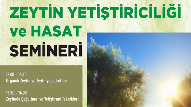 Zeytin Üretimine Bilimsel Dokunuş; Zeytin Yetiştiriciliği Semineri Düzenlenecek