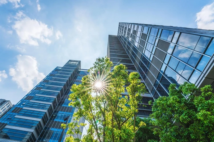 Aile şirketleri 25 milyondan fazla istihdam sağladı