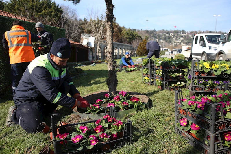 2024’te daha yeşil bir Eyüpsultan için aralıksız çalıştık