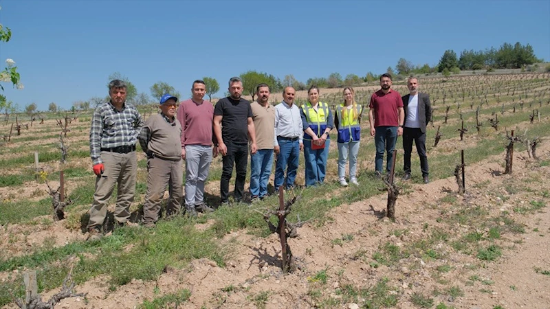 Denizli Büyükşehir üreticileri yalnız bırakmıyor