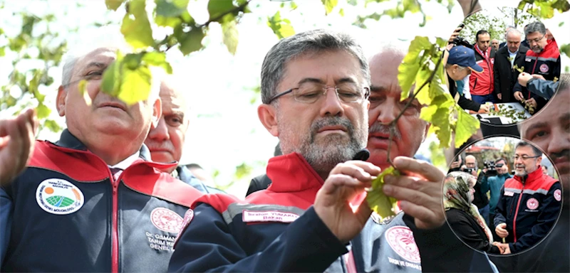 BAKAN YUMAKLI, GİRESUN