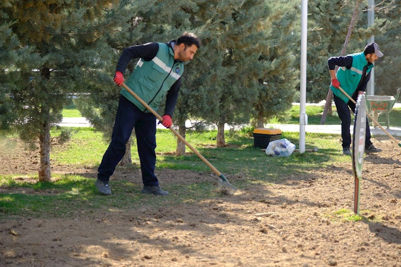 İpekyolu’nda Yeşil Alanlarda Bakım ve Yenileme Çalışması