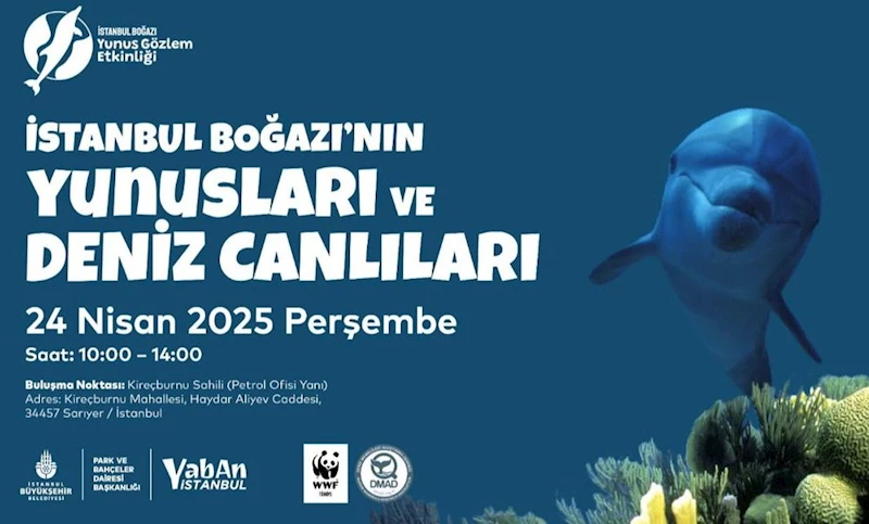 YUNUS GÖZLEM ETKİNLİKLERİ BAŞLIYOR