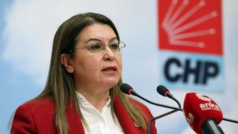 TBMM BAŞKANVEKİLİ GÜLİZAR BİÇER KARACA, ÇINAR ÇOCUK EVİ AÇILIŞI İÇİN İZMİT’E GELİYOR