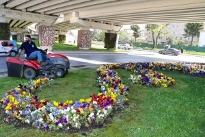 YALOVA BELEDİYESİ BUDAMA VE OT BİÇME ÇALIŞMALARINI SÜRDÜRÜYOR