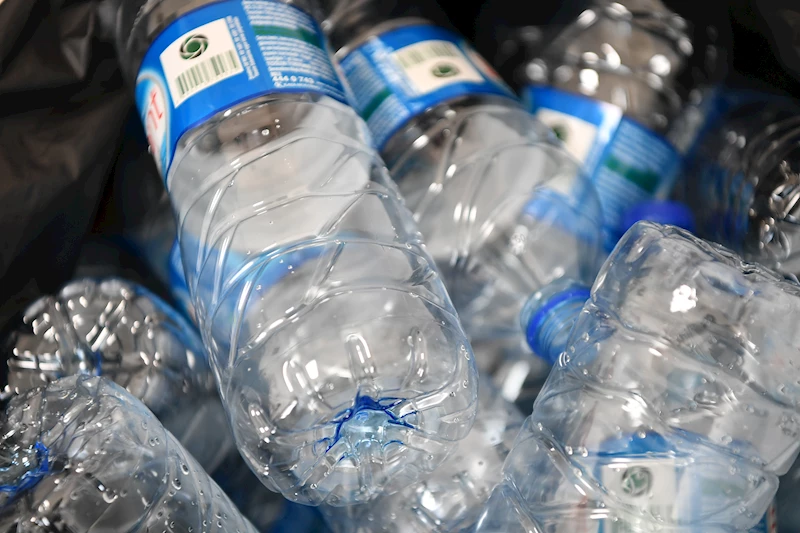 Pet Şişelerle Yeni Meyve Ağaçları Yetişecek