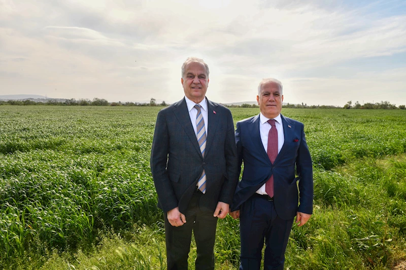 MUSTAFAKEMALPAŞA’DA 200 DÖNÜM AYÇİÇEĞİ EKİMİNE BAŞLANACAK