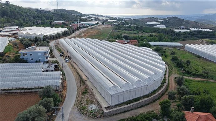 BAŞKAN ÖZÇELİK HOBİ BAHÇESİ VE TROPİKAL MEYVE SERASI’NDA İNCELEMELERDE BULUNDU