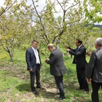 Büyükşehir’den zirai don mağduru çiftçiye destek