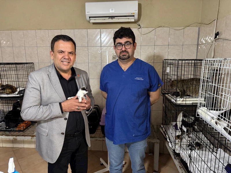 Satın alma sahiplen