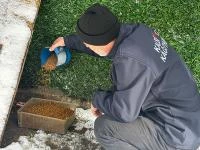 KÂĞITHANE’DE BİR YILDA 10 BİN 882 CAN DOST REHABİLİTE EDİLDİ