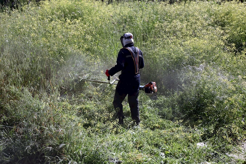 Eyüpsultan’da park ve yeşil alanlara bahar bakımı