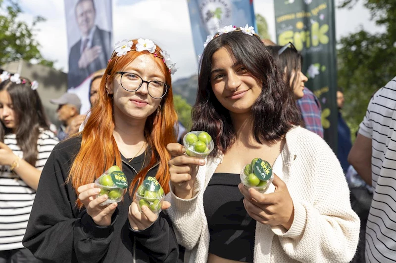 ‘15. Gezende Erik Festivali’nde Lezzet ve Kültür Şöleni Bir Aradaydı