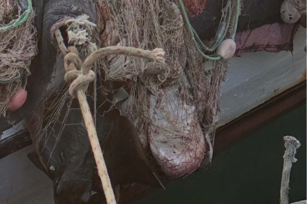 İzmir’de su ürünleri denetimlerinde ceza yağdı