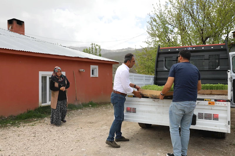 İpekyolu Belediyesi’nden Mahallelere Domates Fidesi Desteği