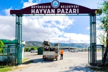HAYVAN PAZARI İÇİN YER SATIŞLARI BAŞLIYOR