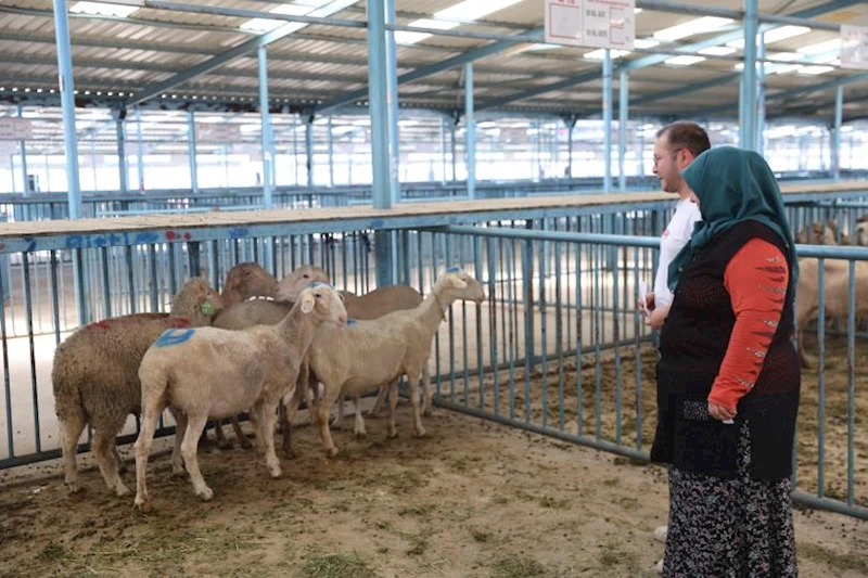 Merkezefendi Belediyesi Kendi Üretim Döngüsünü Oluşturdu