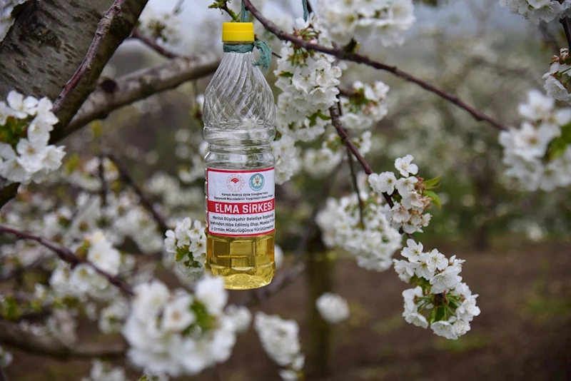 Büyükşehir’den Tarımda Temiz Çözüm İçin Çiftçiye Destek