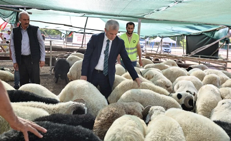 Başkanımız Kurban Fiyatlarını Açıkladı