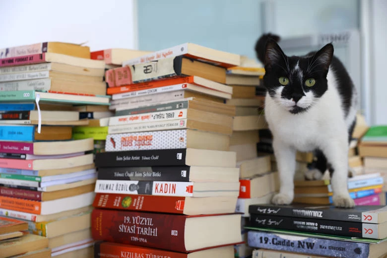 Kitaplar Antalya’dan yola çıkıyor, Türkiye