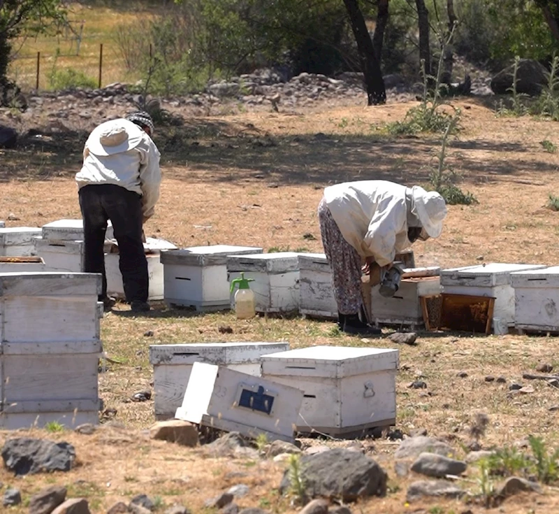 YUNUSEMRE ARICILIĞI DESTEKLİYOR