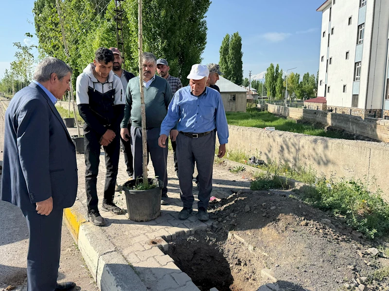 Patnos Belediye Başkanı Abdulhalik Taşkın Fidan Dikim Çalışmalarını Yerinde İnceledi