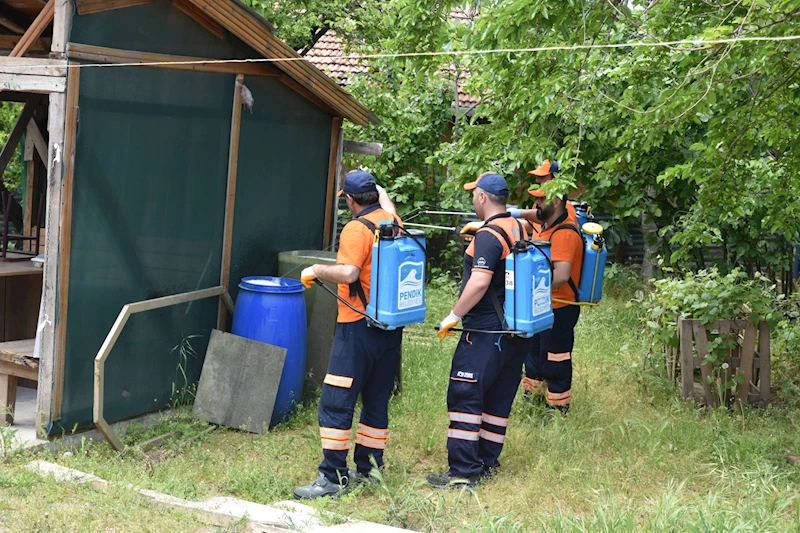 Pendik’te Haşere Seferberliği: Ekipler Harekete Geçti