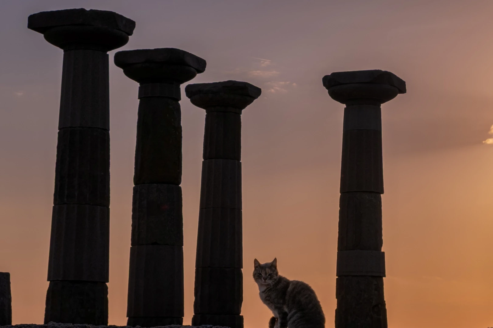 Müzelerin ruhu Bornova’da hayat buldu