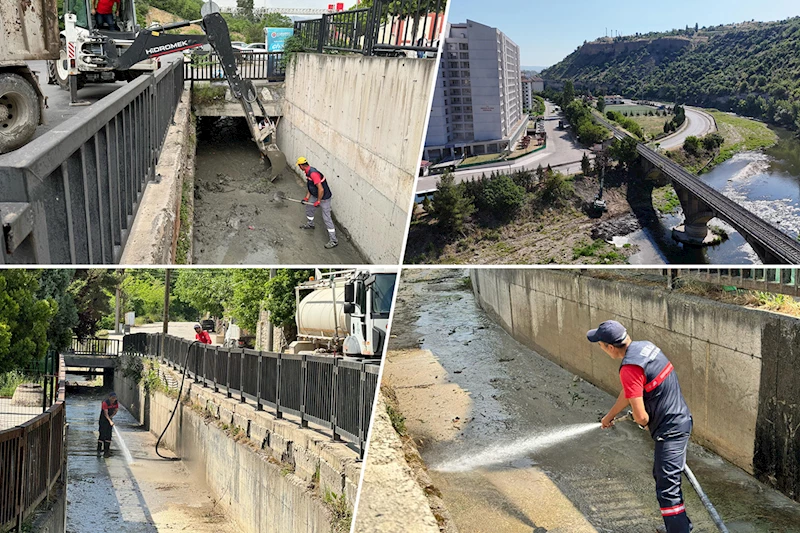 Karabük Belediyesi Dere Yataklarında Kapsamlı Temizlik Yaptı
