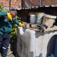 Sinekle mücadele tüm hızıyla sürüyor