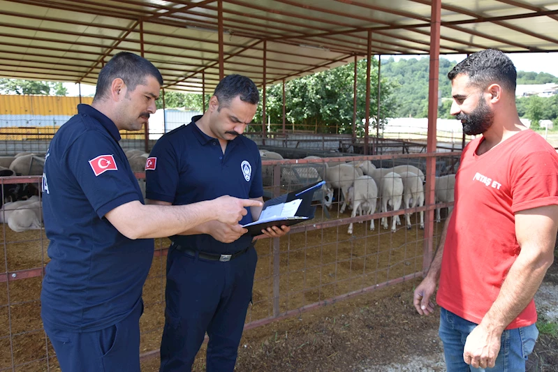 Kurban Satış ve Kesim Alanlarını Denetliyorlar