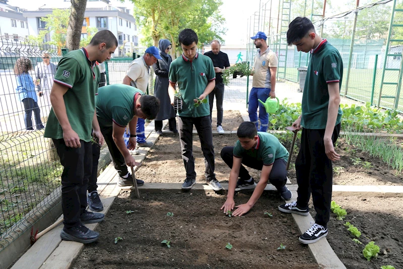 Eyüpsultanlı öğrenciler toprakla buluşuyor: Okullara hobi bahçeleri kuruluyor