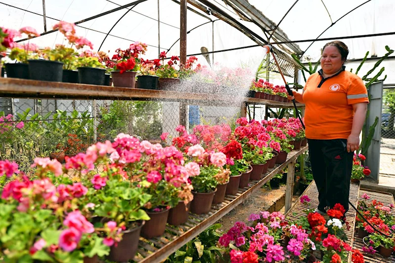 Burası Mersin’in Estetik Fabrikası!