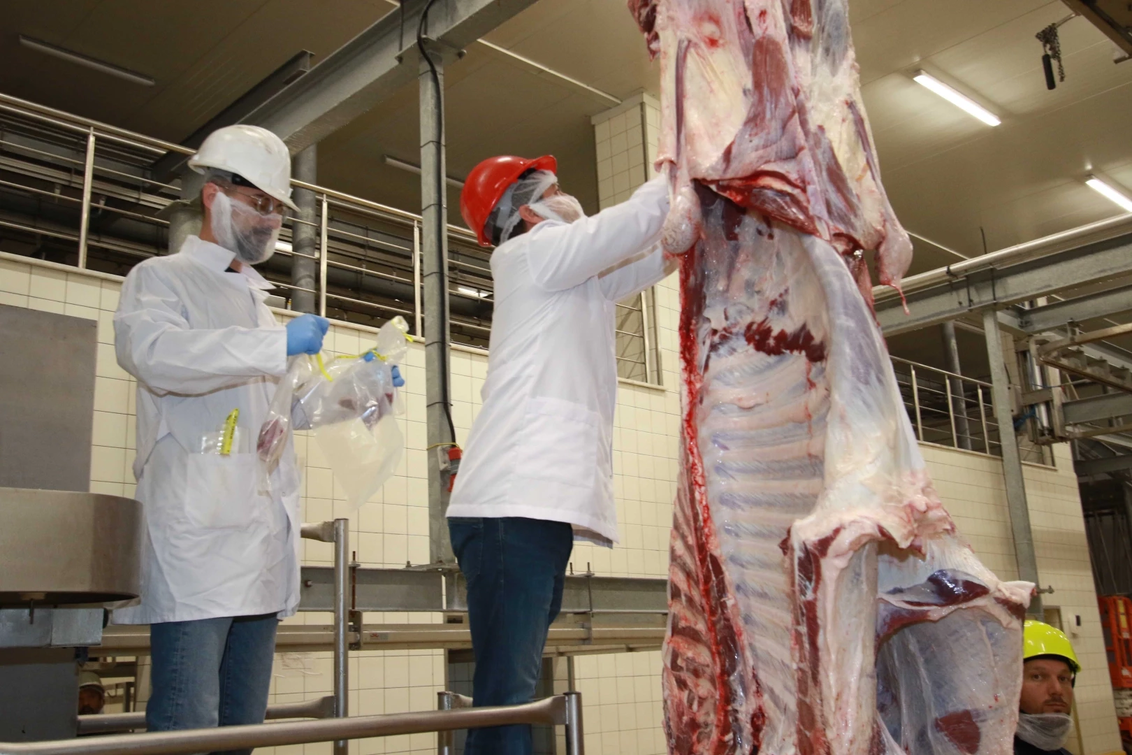 TSE’den Kocaeli mezbahasına tam not