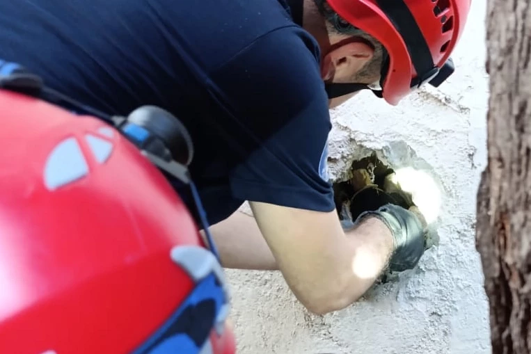 İzmir İtfaiyesi sıkışan kediyi kurtardı!