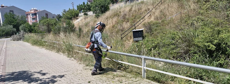 Kent Genelindeki Yeşil Alanlarda Bakım ve Temizlik Çalışmaları