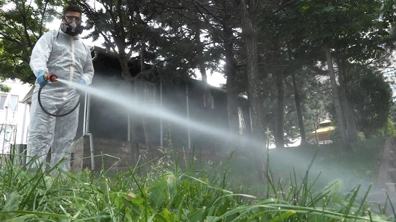 Mamak’ta Haşereyle Mücadele Aralıksız Sürüyor
