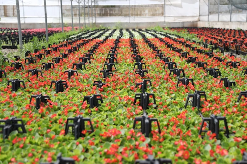 ÇÖPLER ÇİÇEK OLUYOR, SAMSUN’A RENK KATIYOR