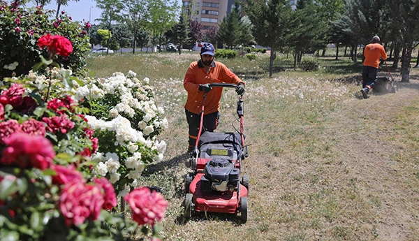 Çankaya Parklarında Çimler Biçiliyor, Otlar Temizleniyor